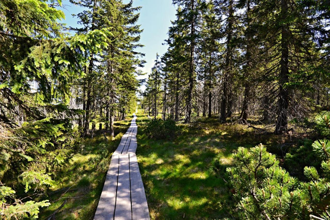 Pardubicke Boudy Villa Janské Lázně Buitenkant foto
