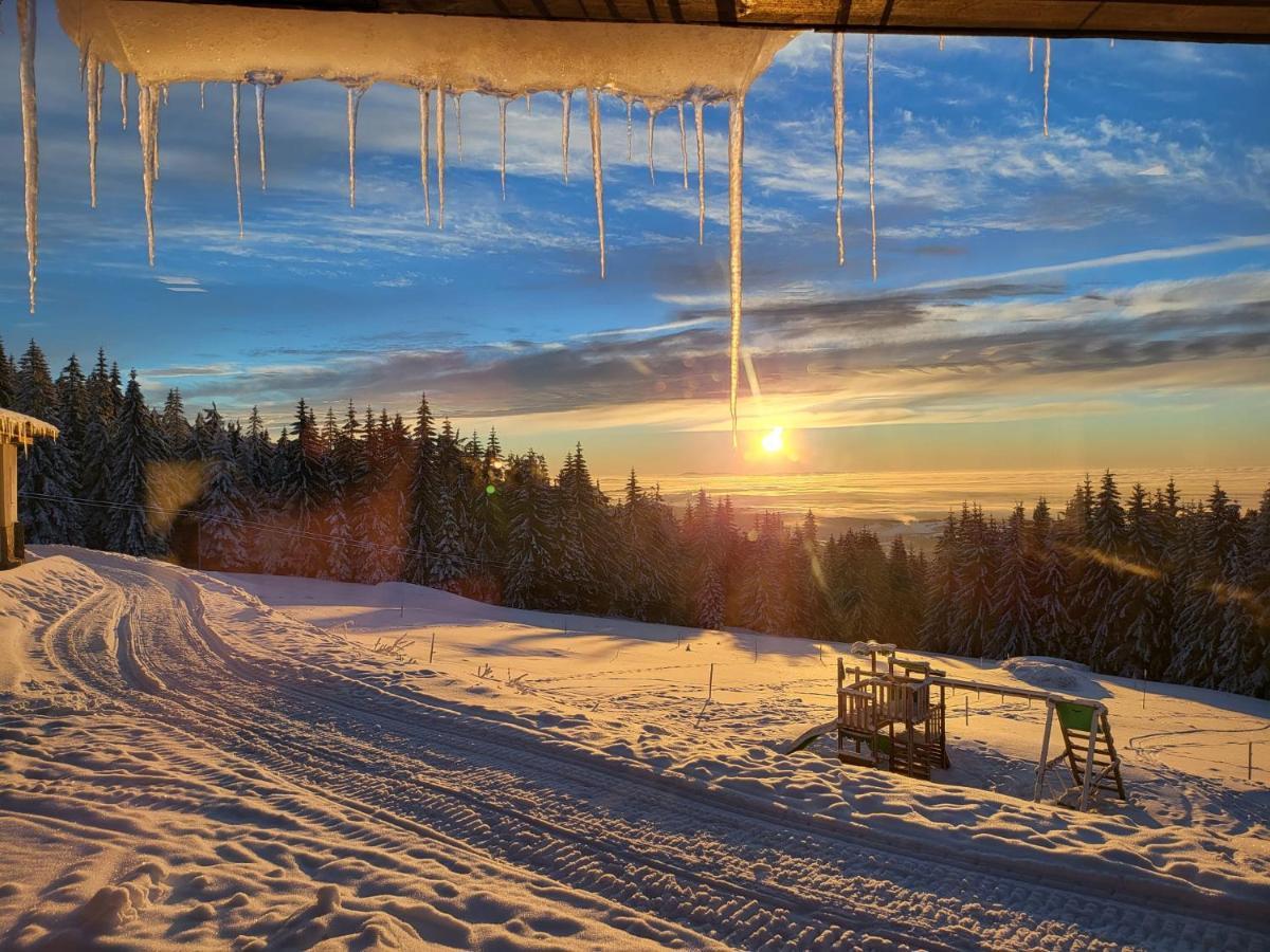 Pardubicke Boudy Villa Janské Lázně Buitenkant foto