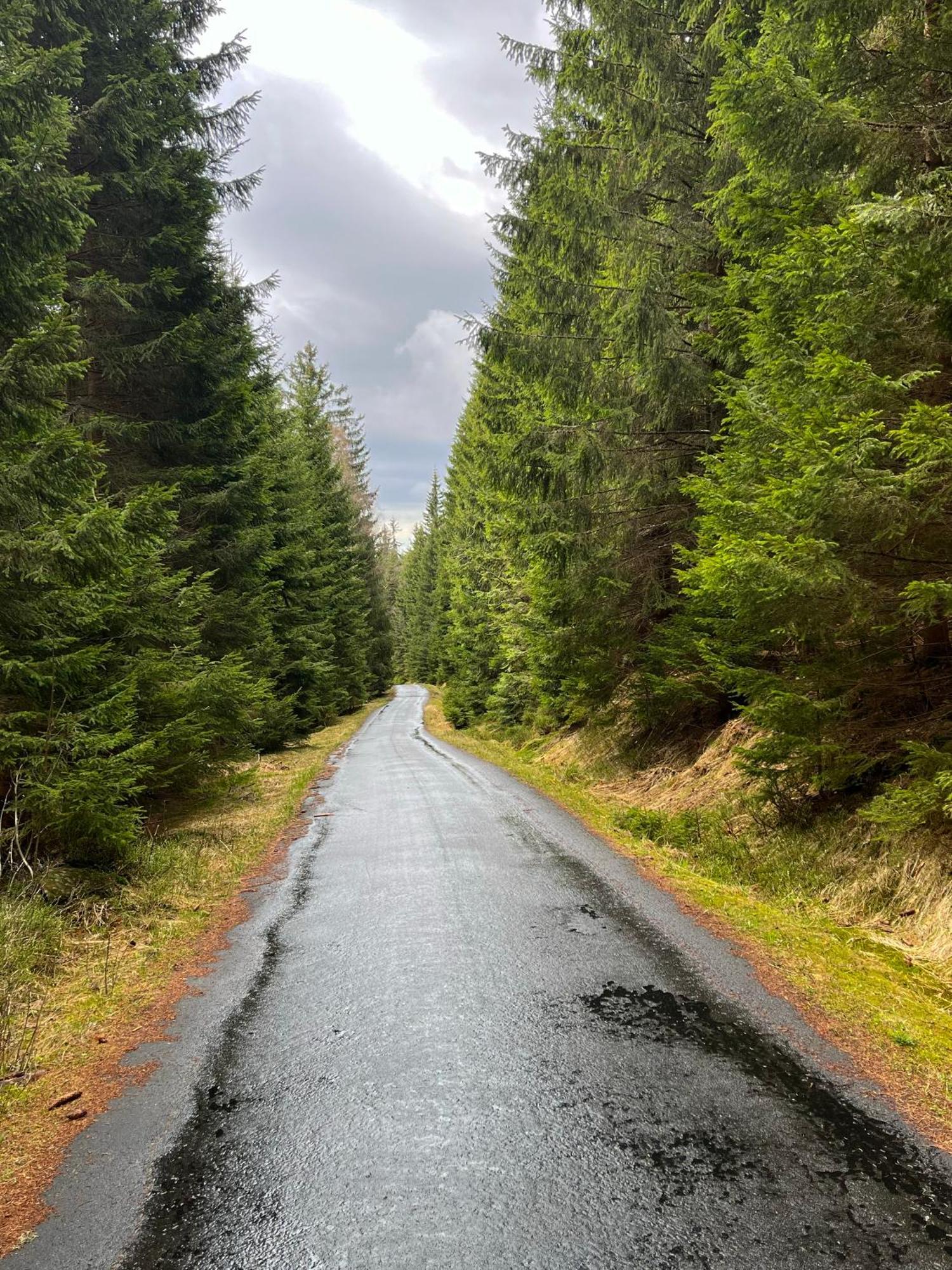 Pardubicke Boudy Villa Janské Lázně Buitenkant foto